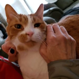 Meet your Posher, Melanie